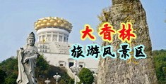 两个鸡巴操一个逼的视频中国浙江-绍兴大香林旅游风景区